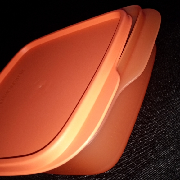 **BRAND NEW** TUPPERWARES DIVIDED LUNCH CONTAINER - Picture 5 of 8